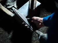 Damastmesser Petty 150, 45 Lagen 10 Damastmesser Petty 150, 45 Lagen – Bild 8