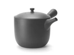 Kyusu Tokoname Chanoma M, 360 Ml -EisenKunst Verkäufe kyusu tokoname chanoma m 360 ml 1