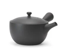 Kyusu Tokoname Chanoma S, 180 Ml -EisenKunst Verkäufe kyusu tokoname chanoma s 180 ml 1