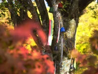 Windspiel, Furin Hamon Grün 8 Windspiel, Furin Hamon Grün – Bild 6